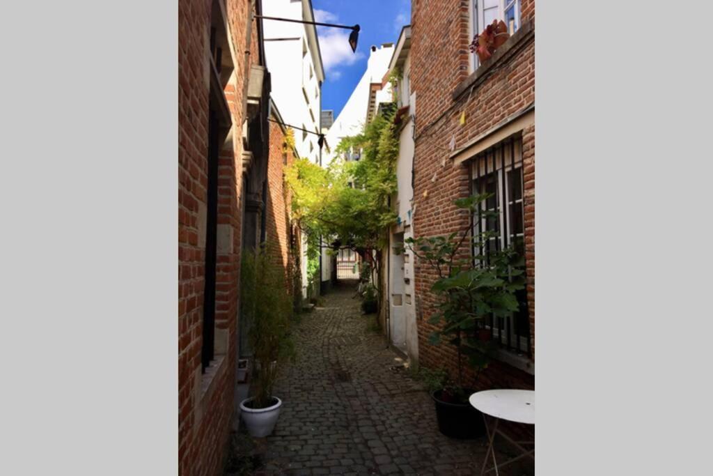 En Plein Coeur De Bruxelles. Superbe Duplex.A Voir! Kültér fotó