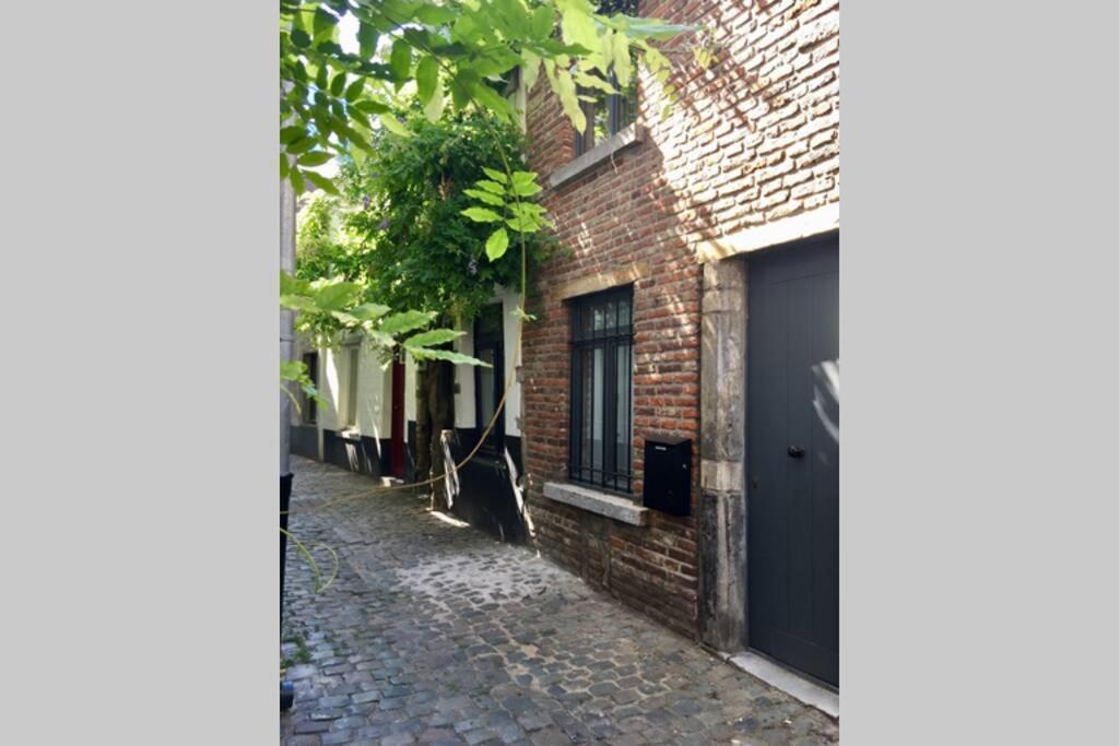En Plein Coeur De Bruxelles. Superbe Duplex.A Voir! Kültér fotó